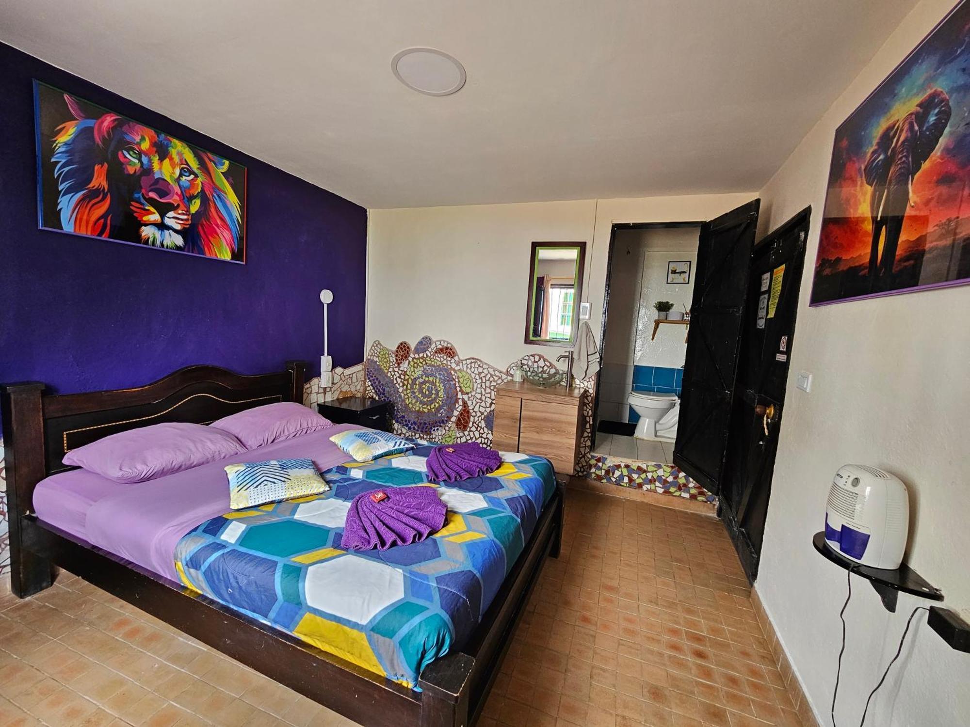 Hostal Bambu San Agustín Exteriör bild